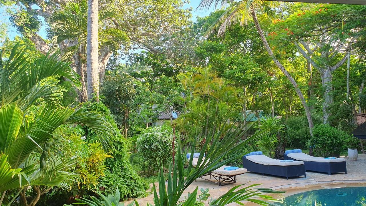 Kwale Mami Wata House Bed & Breakfast エクステリア 写真