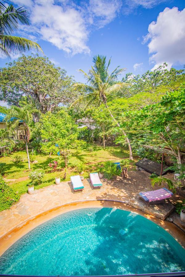 Kwale Mami Wata House Bed & Breakfast エクステリア 写真