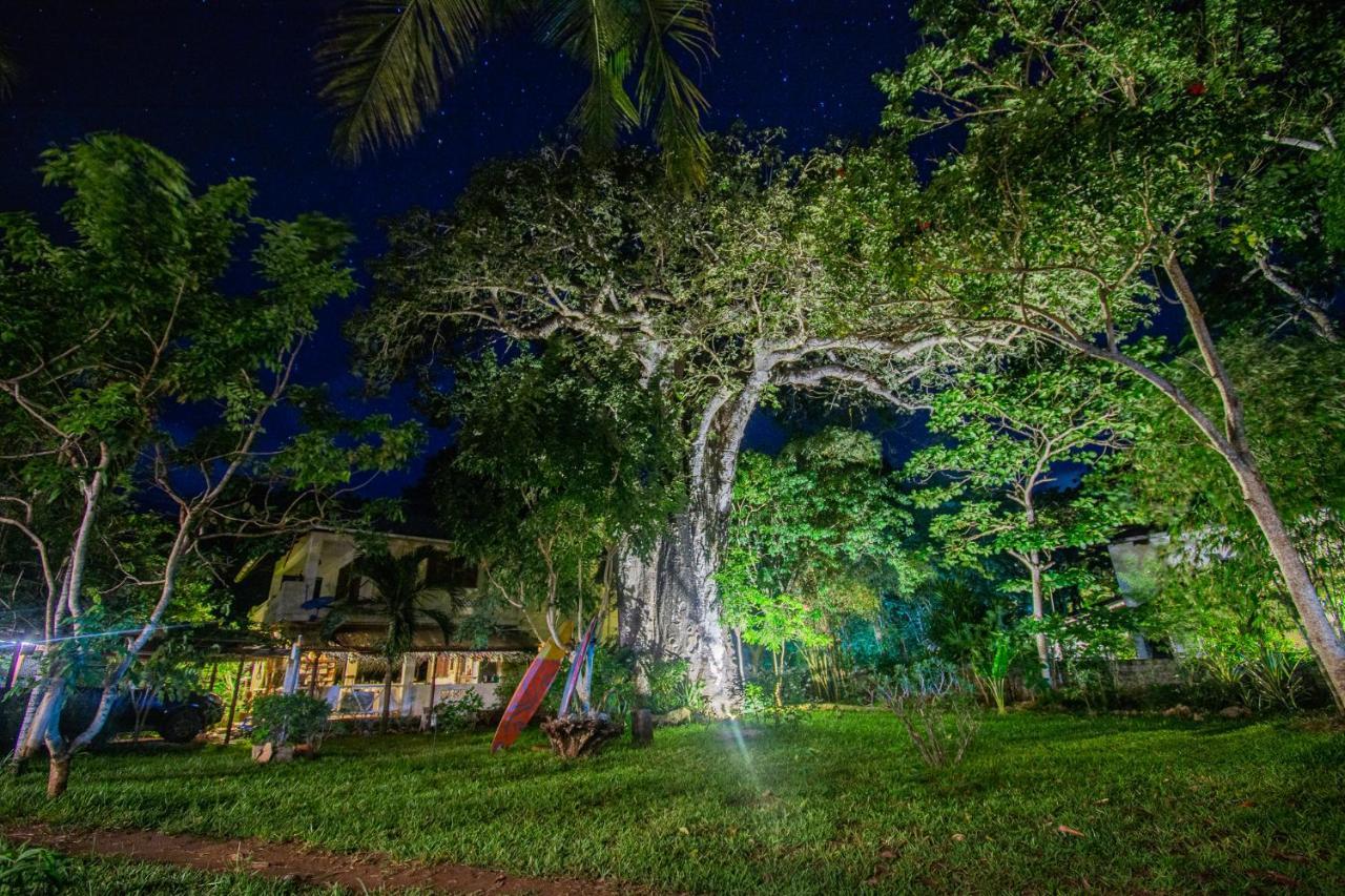 Kwale Mami Wata House Bed & Breakfast エクステリア 写真