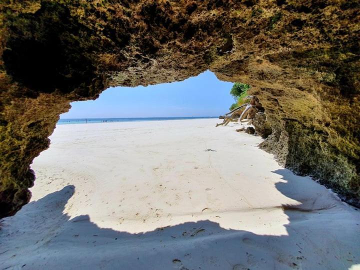 Kwale Mami Wata House Bed & Breakfast エクステリア 写真