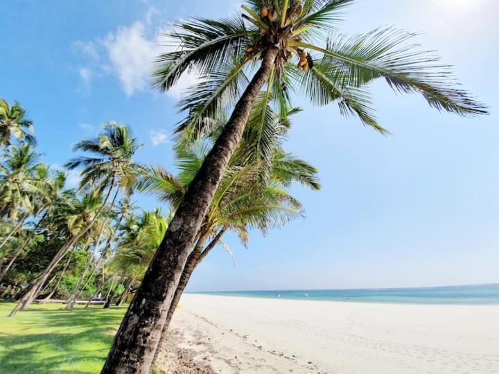 Kwale Mami Wata House Bed & Breakfast エクステリア 写真